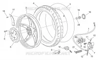 Rear wheel - disc brake