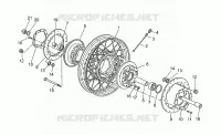 Front wheel, spokes