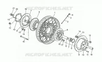 Front wheel, spokes