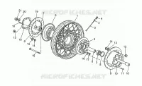 F wh.,spokes 1991 (D-CH-A)