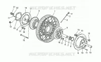 Front wheel, spokes