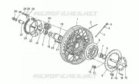 Rear wheel, spokes