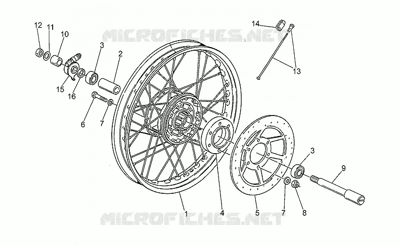 Front wheel, spokes