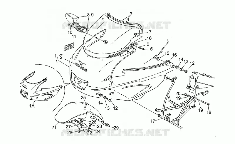 Front body