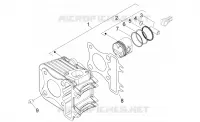 Cylinder - Piston
