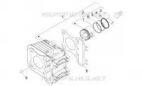 Cylinder - Piston