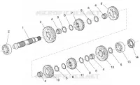 Driven shaft