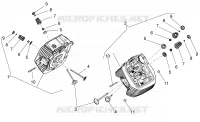 Cylinder head and valves