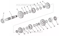 Driven shaft