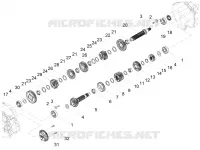 Gear box - Gear assembly